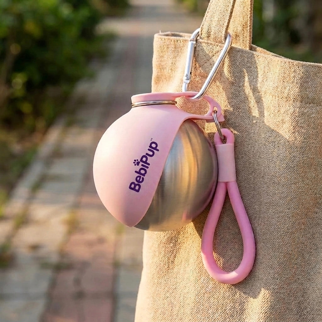 Dog Water Bottle & Bowl