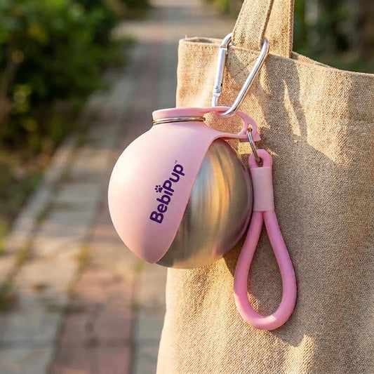 Dog Water Bottle & Bowl